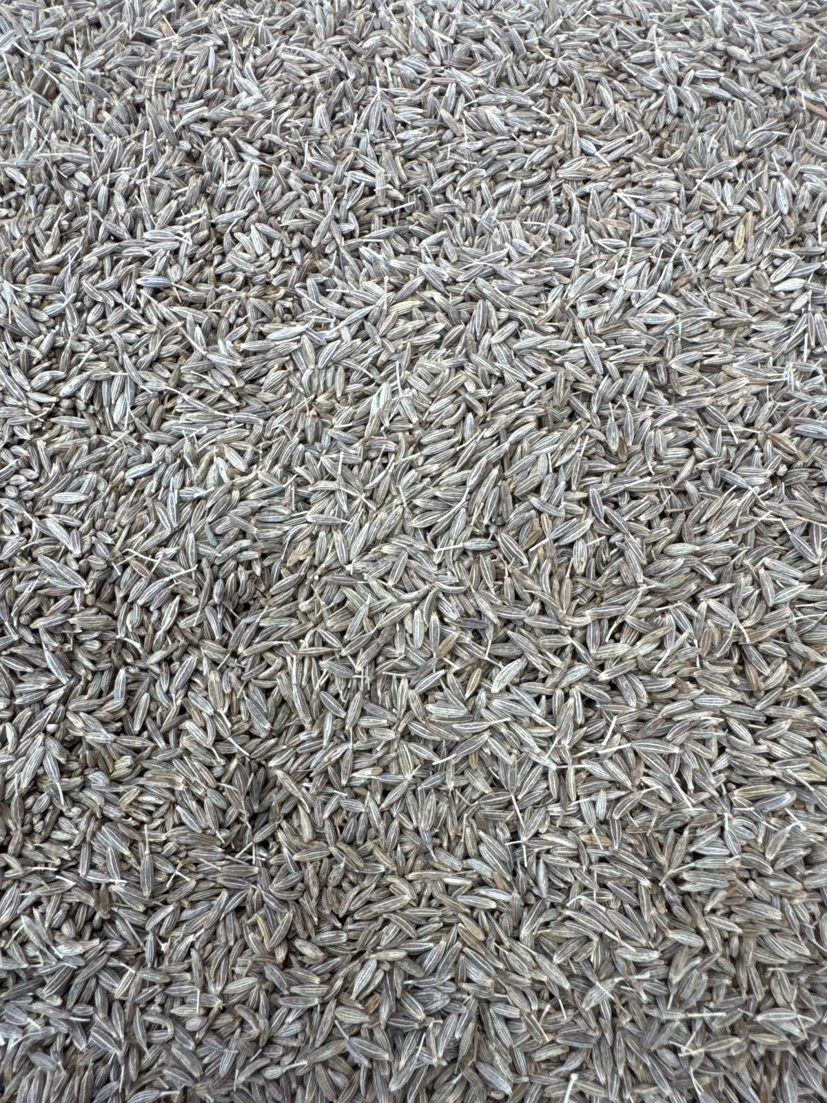 Cumin Seeds