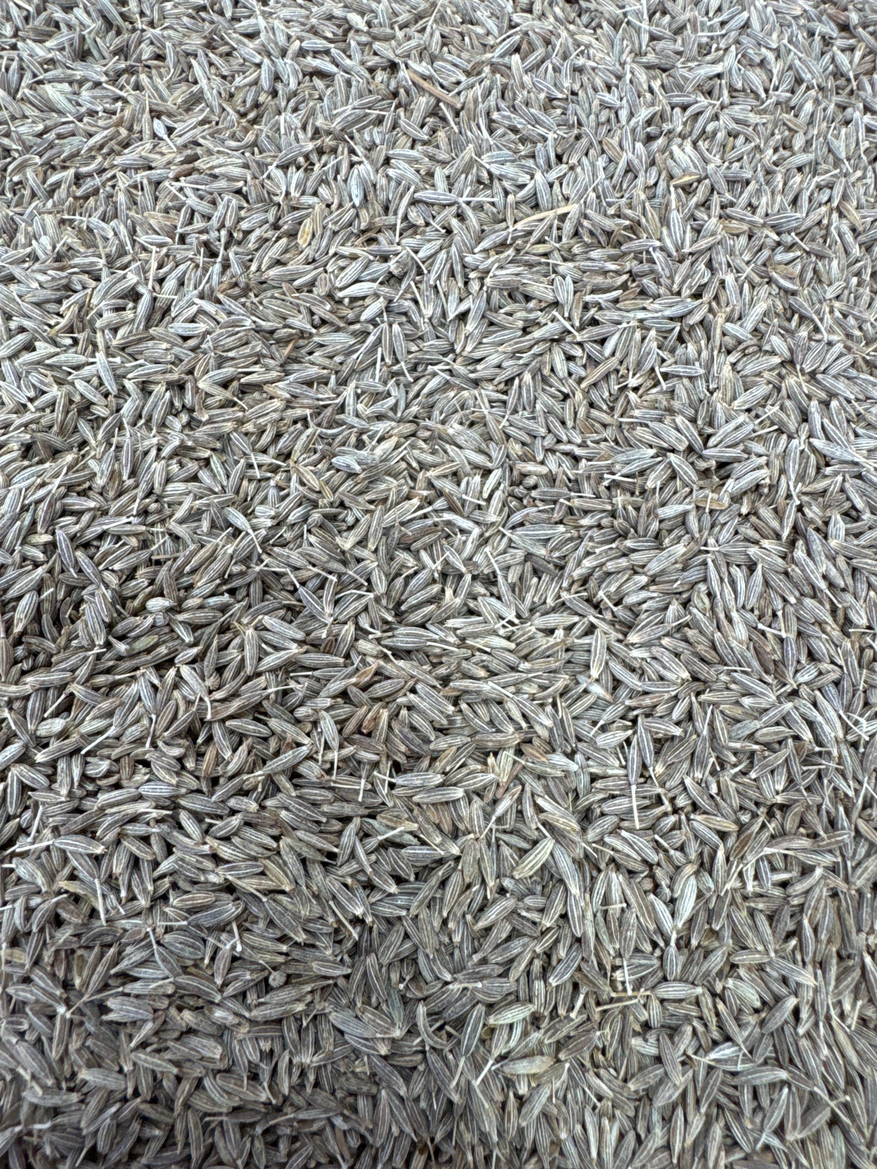 Cumin Seeds